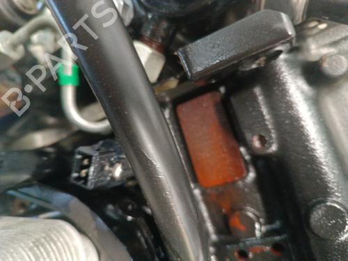 Engine NISSAN MICRA III (K12) 1.5 dCi | BP30020666M1