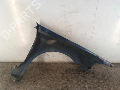 Left front fenders RENAULT LAGUNA II (BG0/1_) 1.9 dCi | BP30017811C41