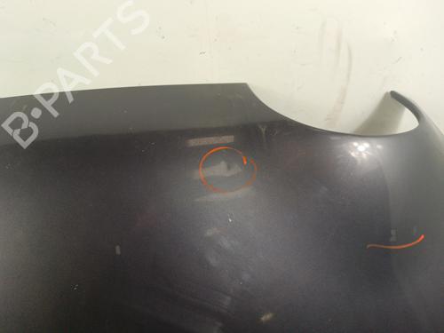 Capot RENAULT TWINGO I (C06_) 1.2 (C066, C068) | BP30026158C1 