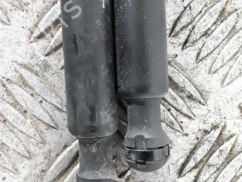 Used Tailgate lift support RENAULT CLIO III (BR0/1, CR0/1) 1.2 16V Hi-Flex (BR1U, CR1U) (75 hp) 30027418