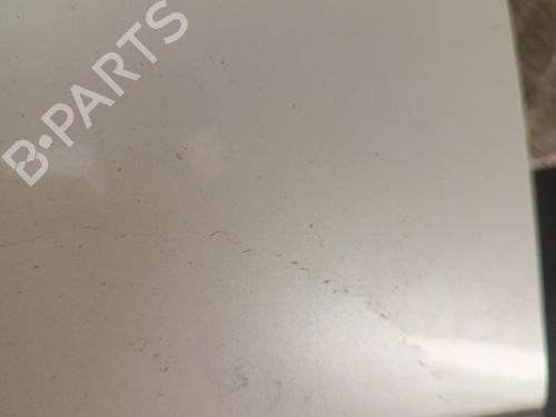 Tailgate FIAT 500 (312_) 1.3 D Multijet (312AXE1A) | BP30008365C6