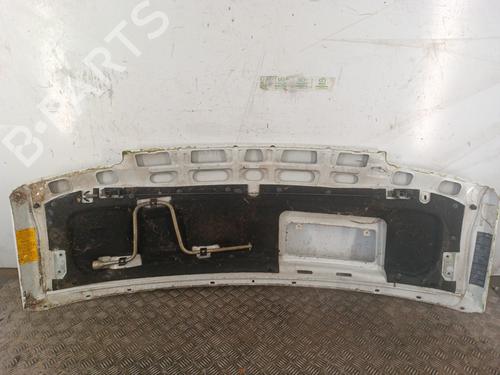 Hood RENAULT TRAFIC Van (T_, P_, V_) 1.9 D | BP30011876C1 
