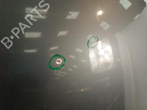 Motorhjelm CITROËN C3 II (SC_) 1.4 HDi 70 (SC8HZC, SC8HR0, SC8HP4) (68 hp) 30013520