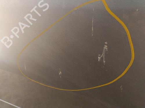 Left front door RENAULT SCÉNIC III (JZ0/1_) 1.5 dCi | BP30025362C2