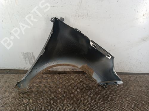 Błotnik przedni lewy RENAULT SCÉNIC III (JZ0/1_) 1.4 16V (JZ0F, JZ1V) | BP30011855C41 