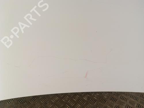 Hood RENAULT KANGOO (KC0/1_) 1.2 16V (KC05, KC06, KC03, KC0T, KC0W, KC1D) | BP30018060C1