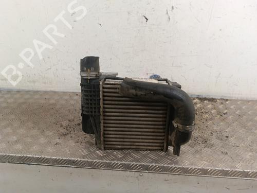 Intercooler PEUGEOT 308 SW II (LC_, LJ_, LR_, LX_, L4_) 1.5 BlueHDi 100 (102 hp) 30011083