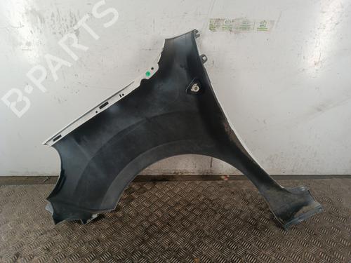 Right front fenders RENAULT KANGOO / GRAND KANGOO II (KW0/1_) 1.5 dCi 90 (KW05, KW08, KW0G, KW11) | BP30023117C42 