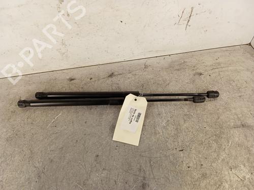 Used Tailgate lift support CITROËN C3 I (FC_, FN_) 1.1 i (60 hp) 30020366