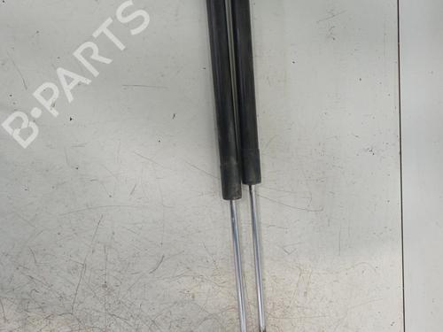 Used Tailgate lift support RENAULT CLIO III (BR0/1, CR0/1) 1.5 dCi (BR17, CR17) (86 hp) 30027063