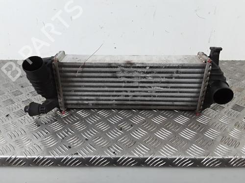 Used Intercooler RENAULT KANGOO / GRAND KANGOO II (KW0/1_) 1.5 dCi 90 (KW05, KW08, KW0G, KW11) (90 hp) 30021354