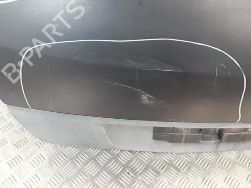 Tailgate RENAULT SCÉNIC II (JM0/1_) 1.5 dCi (JM02, JM13) | BP30016005C6 