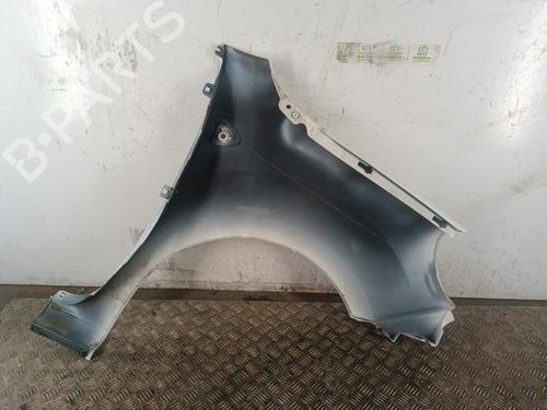 Left front fenders RENAULT KANGOO / GRAND KANGOO II (KW0/1_) 1.5 dCi 90 (KW05, KW08, KW0G, KW11) | BP30023116C41 