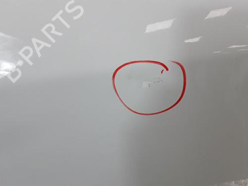 Left front door FIAT GRANDE PUNTO (199_) 1.2 | BP30026786C2