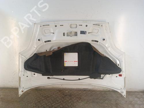 Hood FIAT GRANDE PUNTO (199_) 1.2 | BP30025524C1