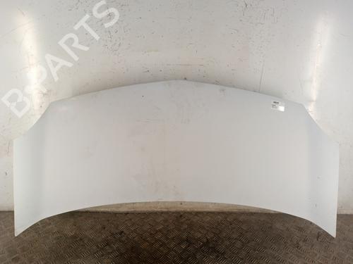 Capot RENAULT KANGOO / GRAND KANGOO II (KW0/1_) 1.5 dCi 90 (KW05, KW08, KW0G, KW11) (90 hp) 30025026