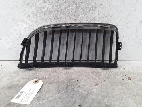 Grille BMW 3 (E90) 318 d | BP30012875C40