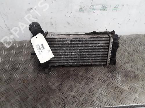 Intercooler FORD GRAND C-MAX (DXA/CB7, DXA/CEU) 1.6 TDCi | BP30023895M30 