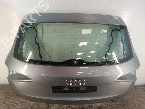 Bakluke CC/Kombi-Kupé AUDI Q5 (8RB) 2.0 TDI quattro (170 hp) 30018004