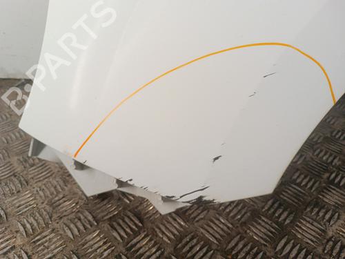 Left front fenders RENAULT KANGOO / GRAND KANGOO II (KW0/1_) 1.5 dCi 90 (KW05, KW08, KW0G, KW11) | BP30023116C41 