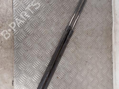 Gasdæmper bagklap RENAULT SCÉNIC III (JZ0/1_) 1.5 dCi (110 hp) 31590759