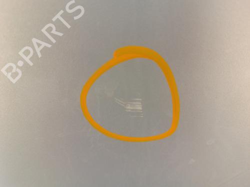 Left front door RENAULT SCÉNIC II (JM0/1_) 1.9 dCi (JM0G, JM12, JM1G, JM2C) | BP30007686C2