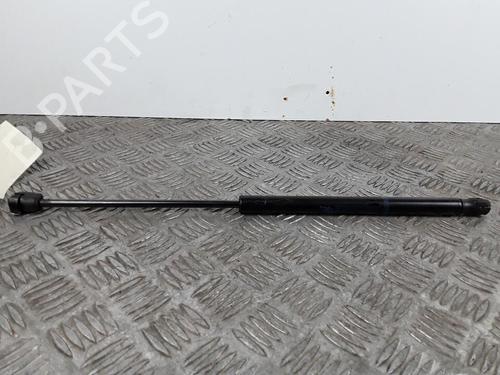 Used Hood lift support CITROËN C2 (JM_) 1.1 (60 hp) 30027467