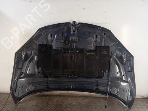 Hood RENAULT MEGANE III Grandtour (KZ0/1) 1.5 dCi (KZ09, KZ0D, KZ1G, KZ29, KZ14, KZ1W, KZ10, KZ1F,... | BP30012062C1