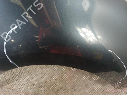 Błotnik przedni prawy RENAULT GRAND SCÉNIC III (JZ0/1_) 1.5 dCi (JZ09, JZ0D, JZ10, JZ14, JZ1G, JZ29, JZ2C) | BP30008665C42 