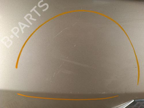 Tailgate RENAULT CLIO III (BR0/1, CR0/1) 1.5 dCi (BR17, CR17) | BP30023053C6 