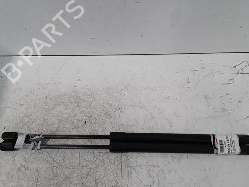 Used Tailgate lift support RENAULT CLIO III Grandtour (KR0/1_) 1.5 dCi (KR0F) (86 hp) 30021916