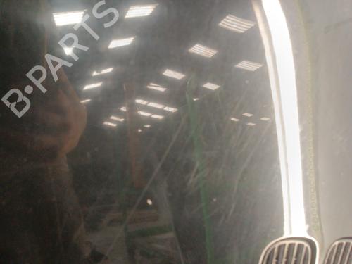 Hood RENAULT TWINGO I (C06_) 1.2 (C066, C068) | BP30017621C1