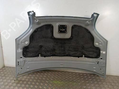 Capot FORD FUSION (JU_) 1.4 TDCi | BP30009524C1 