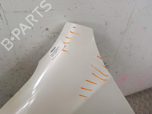 Left front fenders NISSAN QASHQAI I (J10, NJ10) 1.5 dCi | BP30014987C41 