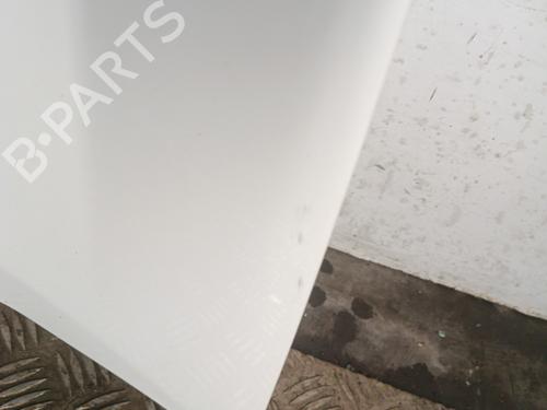 Hood CITROËN BERLINGO Box Body/MPV (B9) 1.6 BlueHDi 100 | BP31831242C1 