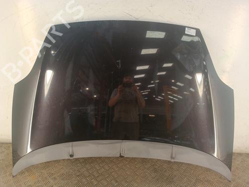 Used Hood FIAT PUNTO EVO (199_) 1.3 D Multijet (199AXC1A, 199BXC1A, 199AXT1A, 199BXT1A) (75 hp) 30023596