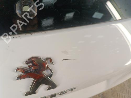 Tailgate PEUGEOT 308 II (LB_, LP_, LW_, LH_, L3_) 1.5 BlueHDi 130 | BP30025622C6 