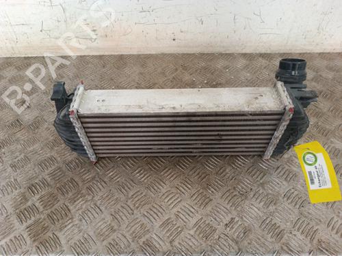 Intercooler RENAULT KANGOO / GRAND KANGOO II (KW0/1_) 1.2 TCe 115 (KW02, KW14) | BP30009177M30