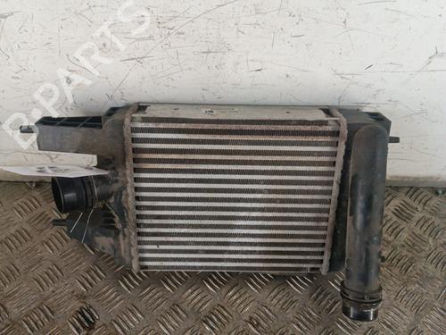 Used Intercooler NISSAN JUKE (F15) 1.2 DIG-T (115 hp) 30010184