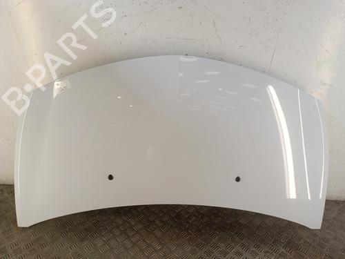 Motorhjelm RENAULT CLIO III (BR0/1, CR0/1) 1.5 dCi (BR17, CR17) (86 hp) 30017301