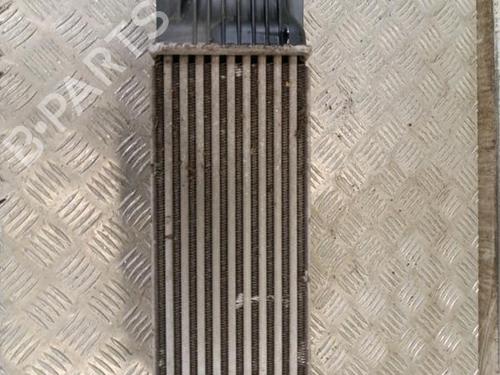 Ladeluftkühler für CITROËN C5 II (RC_) 1.6 HDi (RC8HZB) (109 hp) 30019027