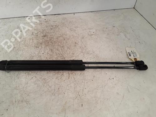 Used Tailgate lift support RENAULT CLIO III Grandtour (KR0/1_) 1.5 dCi (KR0G) (68 hp) 30026645