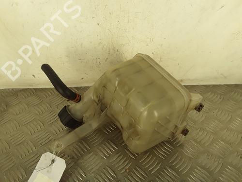 Used Expansion tank RENAULT VEL SATIS (BJ0_) 3.5 V6 (BJ0R, BJ0V, BJ0U) (241 hp) 30080401