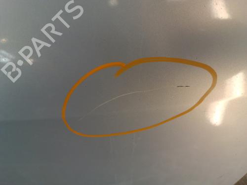 Coffre RENAULT SCÉNIC II (JM0/1_) 1.9 dCi (JM0G, JM12, JM1G, JM2C) | BP30007687C6 