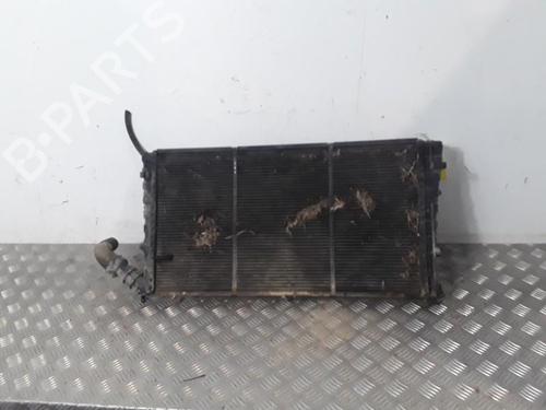 Used Water radiator Water radiator PEUGEOT PARTNER Box Body/MPV (5_, G_) 1.9 D (69 hp) 30019484 30019484