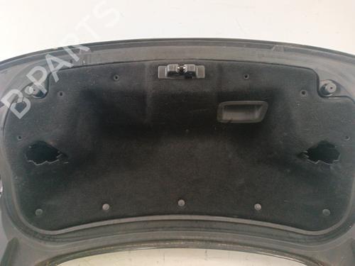 Tailgate RENAULT LAGUNA Coupe (DT0/1) 2.0 dCi (DT01, DT08, DT09, DT0K, DT12, DT1C, DT1D, DT1M,... | BP30018583C6 