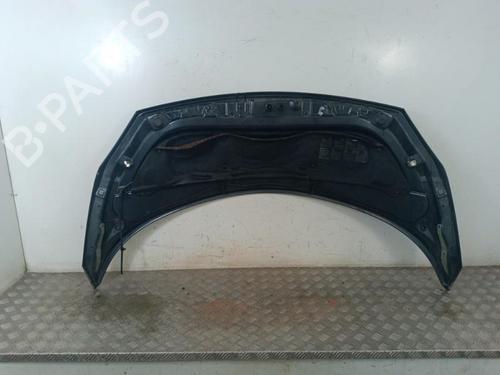 Used Hood Hood 30018972 30018972