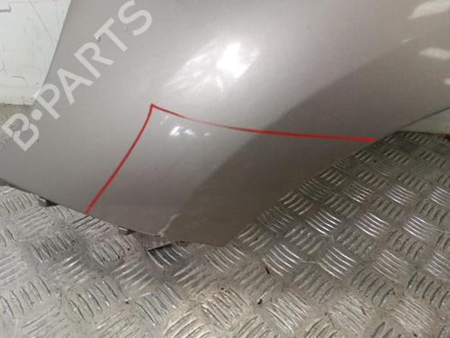 Used Left front fenders RENAULT SCÉNIC III (JZ0/1_) 1.5 dCi (110 hp) 30024420