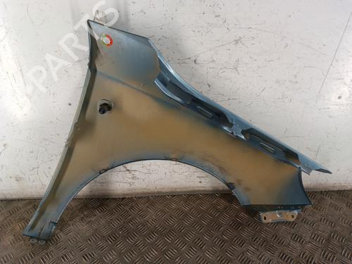 Left front fenders SKODA FABIA II (542) 1.4 TDI | BP30017167C41 