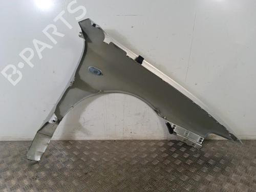 Used Left front fenders SEAT TOLEDO II (1M2) 1.9 TDI (90 hp) 30009525
